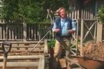 Compost Bins – Take Care When Handling Compost, Follow These Handy Compost Tips Image shows the author standing beside his compost bins.