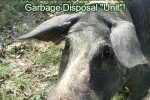 What do People Mean When They Refer to Garbage Disposal? _garbage-disposal-unit