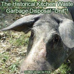_garbage-disposal-unit