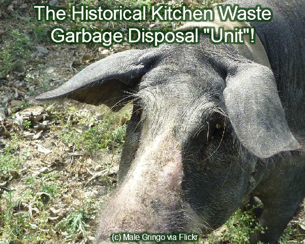 _garbage-disposal-unit
