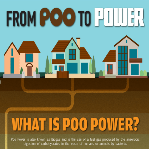 poo power from biogas