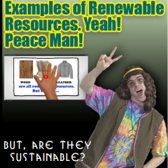 examples of renewable resources and sustainability
