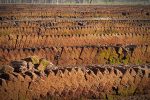 What is Peat Free Compost? Image shows peat cut ready for use - peat free compost.