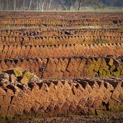 Image shows peat cut ready for use - peat free compost.