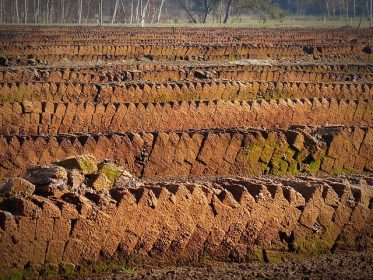 Image shows peat cut ready for use - peat free compost.