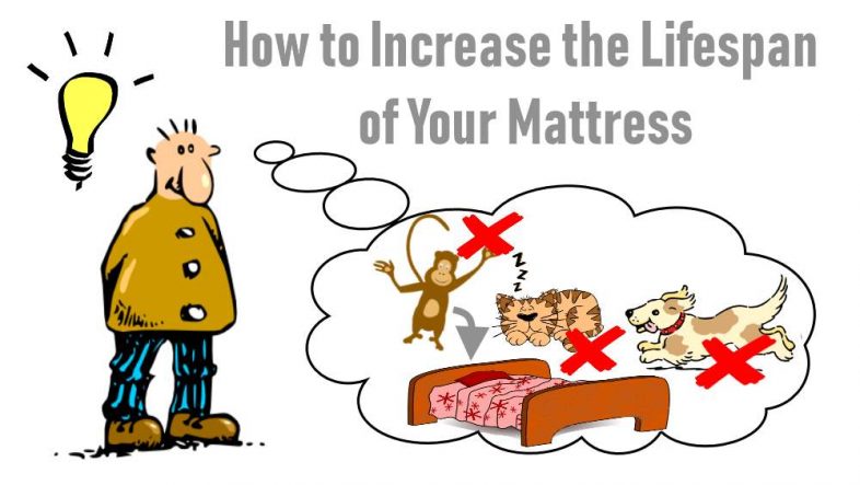 Image shows how to extend mattress lifespan meme.