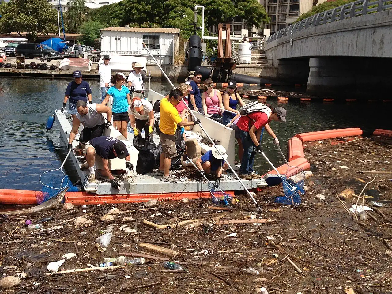 Scooping up marine debris - a mini garbage patch! Scooping up marine debris - a mini garbage patch!
