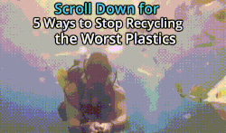 Featured image for article: 5 Ways to Avoid Recycling Bad Plastics.