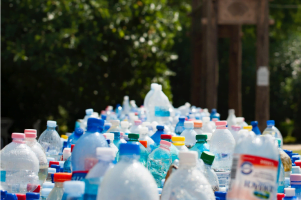 Featured image for article: A selection of plastic bottles.
