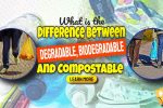 What is the Difference Between Degradable, Biodegradable, and Compostable? Image text: "What is degradable biodegradable and compostable".