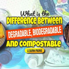 Image text: "What is degradable biodegradable and compostable".