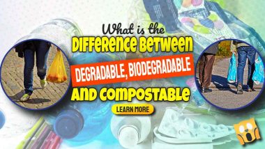 Image text: "What is degradable biodegradable and compostable".