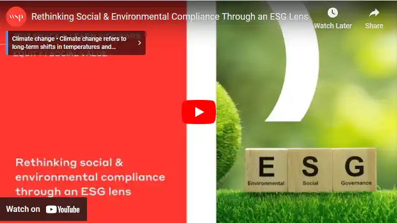 Rethinking Social and Environmental Compliance 