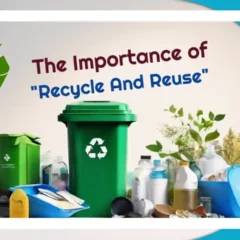The Importance of "Recycle and Reuse"