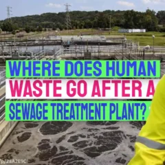 Image illustrates the question: Where does human waste go after treatment