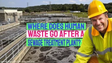 Image illustrates the question: Where does human waste go after treatment