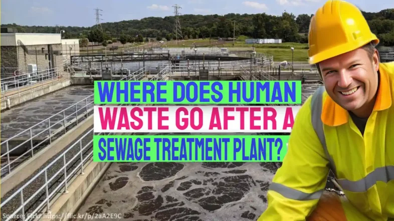 Image illustrates the question: Where does human waste go after treatment