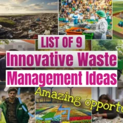 Featured image with the text: "List of 9 Innovative Waste Management Ideas."
