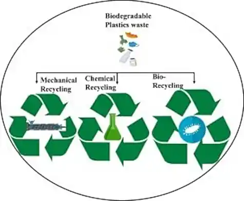 Diagram Showing 3 types of Recycling - Mechanical, Chemical, and Bio Recycling