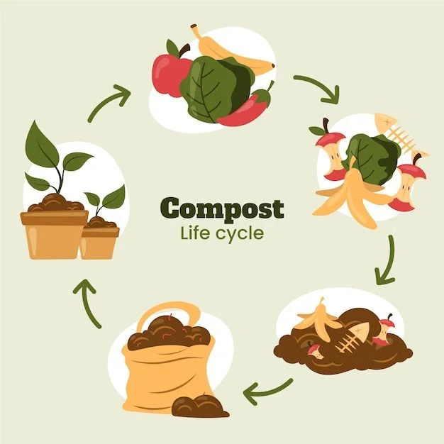 The compost lifecycle shematic