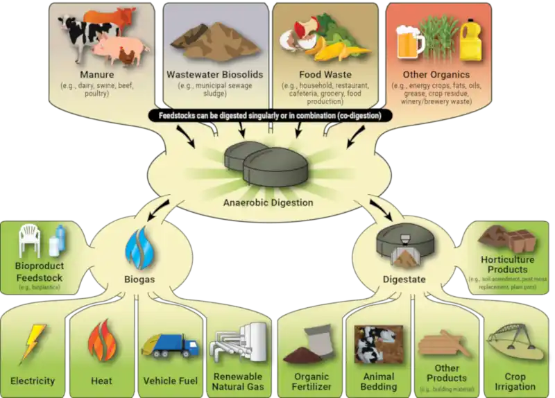 How Does Anaerobic Digestion Work - Schemtic Diagram
