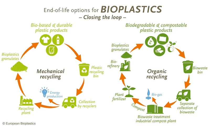 A biopastics recycling schematic