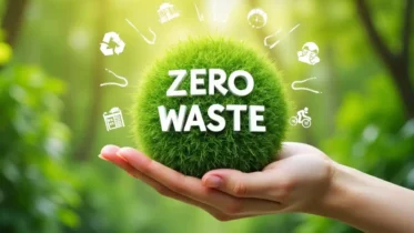Zero Waste Disposal - Article featured image.