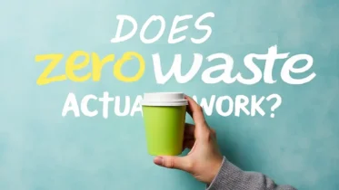 Zero waste disadvantages - Featured Image.