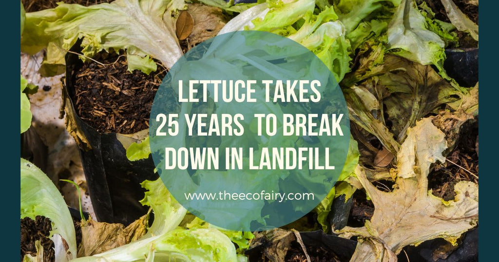 That lettuce takes 25 years to degrade in a landfill is provided here to explain What Happens to Food Waste in Landfills.