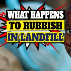 Featured image to What Happens to Waste Inside UK Landfill