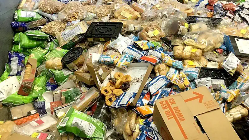 A typical view of segregated food waste A typical view of segregated food waste