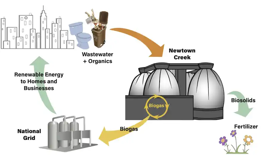 How to Recycle Organic Waste - Schematic Diagram