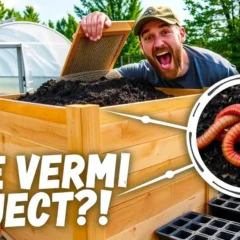 Free Vermi Project - featured image for article with Vermiculture project PDF offer.