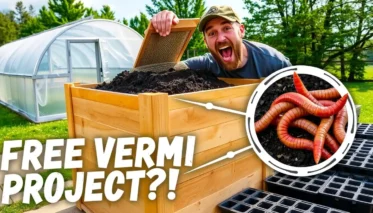 Free Vermi Project - featured image for article with Vermiculture project PDF offer.