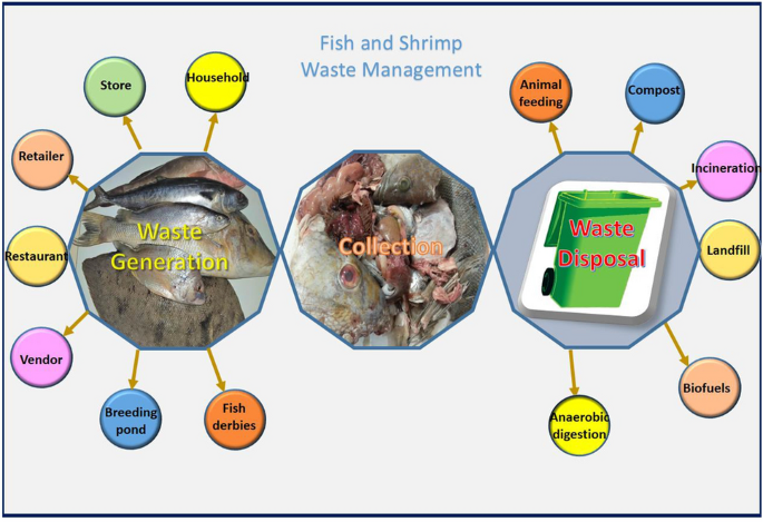 Fish and Shrimp Waste Management Diagram