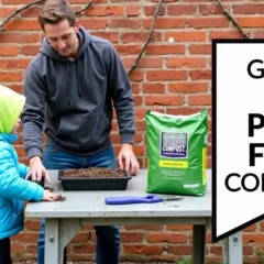 Featured image for article guide about Peat Free Compost.